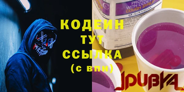 индика Балахна