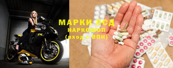 стаф Баксан