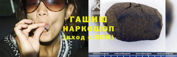 индика Балахна