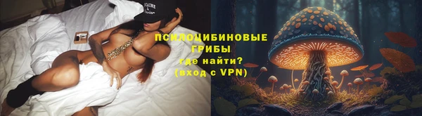 индика Балахна
