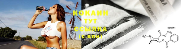 индика Балахна