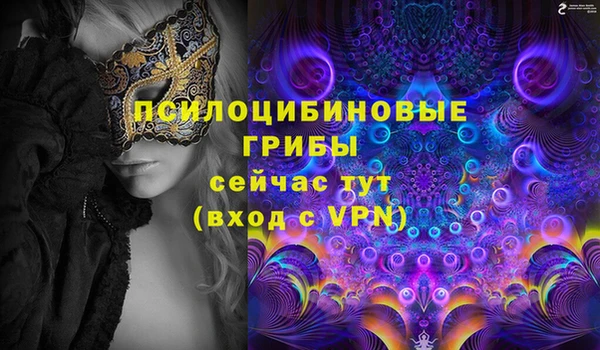 индика Балахна