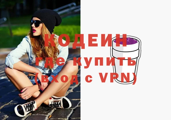 индика Балахна