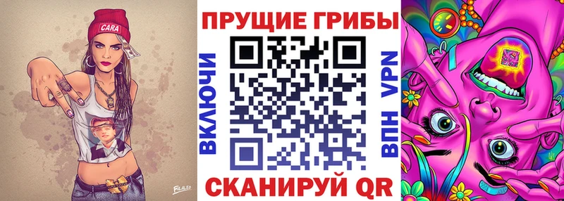 как найти закладки  Бронницы  мега ТОР  Псилоцибиновые грибы Cubensis 